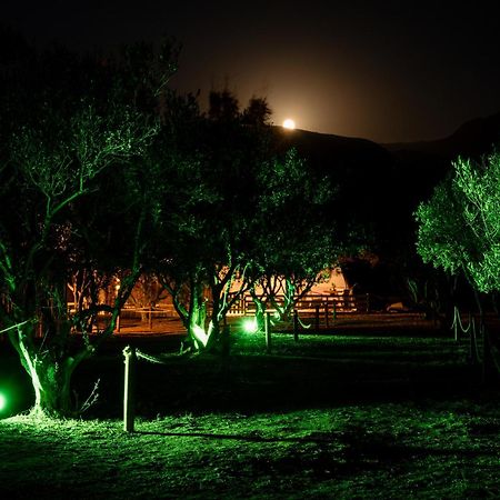 Falasarna Caravans Luaran gambar